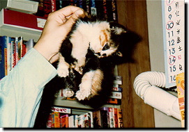 ���݁[�ɂ�