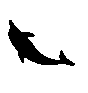 CJij